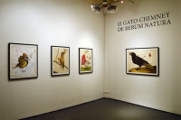 http://www.steambiz.com/files/gimgs/th-16_0006_De-Rerum-Natura_Stephen-Romano-Gallery_2015.jpg
